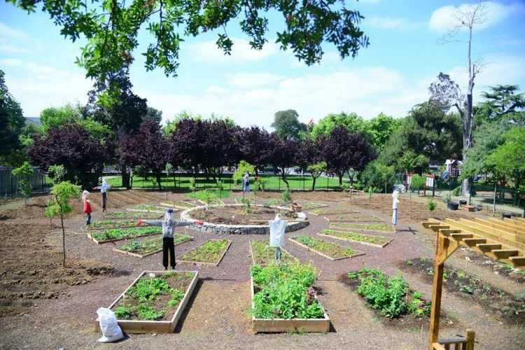 Topluluk Bahçeciliği: Mahallenizde Kendi Bahçenizi Kurun