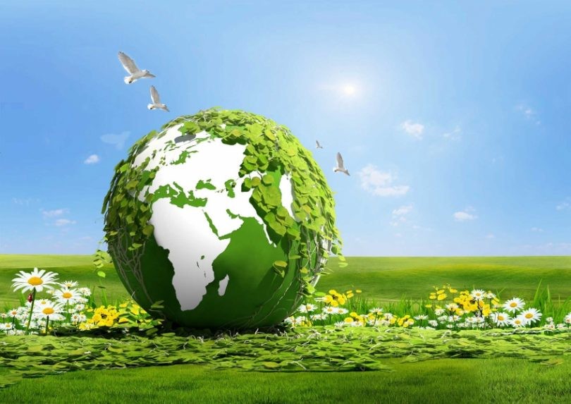 Çevre Koruma Projeleri: Türkiye’de Toplumsal Katılımın Artışı