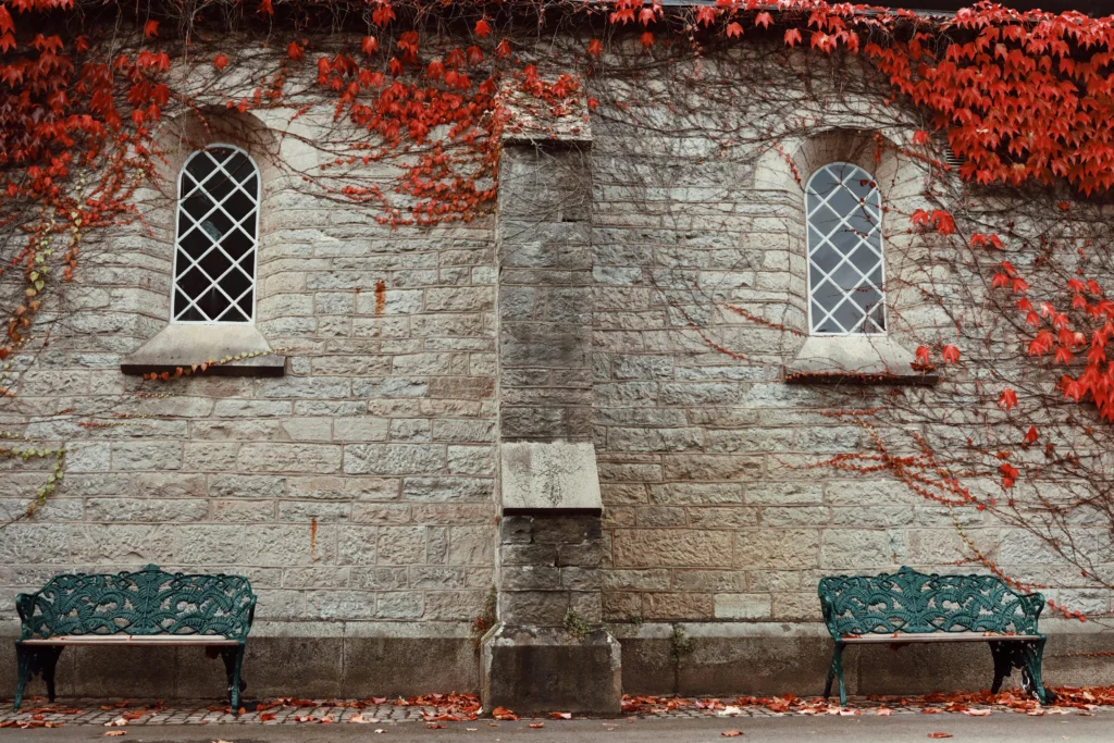 Dijital Platformların Yükselişi: 2024’te İzlenecek Yeni Diziler