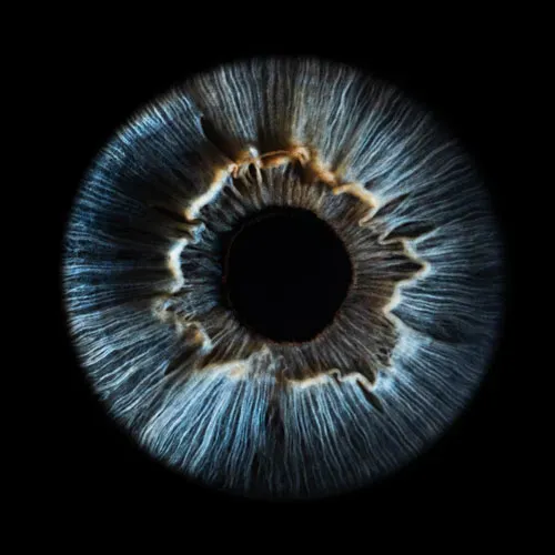 Iris Fotoğrafçılığı: Kapadokya’da Sanatı Yaşatmak