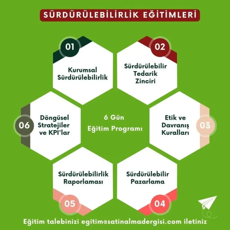 Eğitim Sistemlerinde Sürdürülebilirlik: Altyapı ve Kaynak