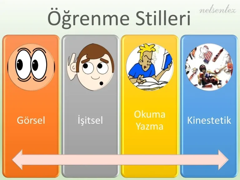 Öğrenme Stilleri: Farklı Yaklaşımlar ve Uygulama İpuçları